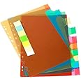 True-Ally A4 Binder Index Divider (10 Insertable tab Sheets) - Separators for Box Files, Lever Arch Files, Binders - A4 Size - Multicolor Tabs (Pack of 2 (Total 20 Sheets))