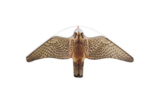 Preisvergleich Produktbild Professionelle Vogelscheuche Eolo Falke (Ersatz)