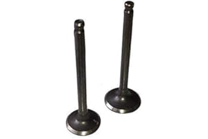 Hmparts Pit Bike / Dirt Bike / Atv / Quad Válvula Set V 110 Ccm