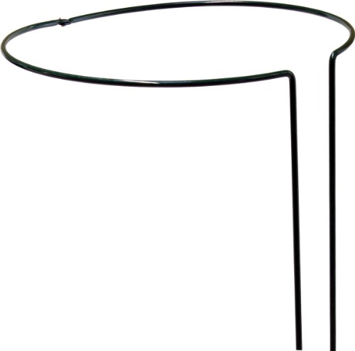 Preisvergleich Produktbild Pflanzenstützen PFLANZENSTUETZE RUND 5X 350MM 7003 (Liefermenge=2)