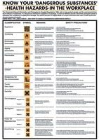 Stewart SuperiorPG23 Health Hazards in the Workplace Poster, 420 mm x 600 mm