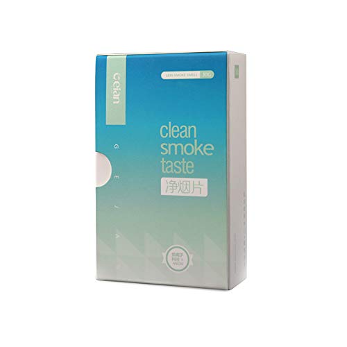 Modesty Anion Net Smoke Sheet Air Clean Ashtray Purificador de aire Respetuoso del medio ambiente, para el hogar, bar, club, automóviles, sala de reuniones (50 unidades, un paquete)