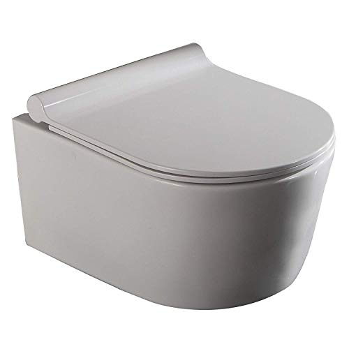 LUX de Aqua 2197 50 cm profundidad pared WC cisterna inodoro asiento de cierre sin bordes, color blanco