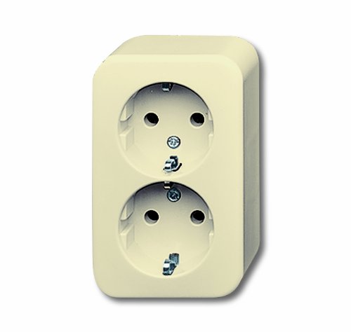 Preisvergleich Produktbild Busch-Jaeger 20-02 EAP Schuko Doppelsteckdose