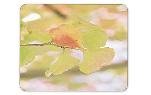 Preisvergleich Produktbild HYYCLS Maple Leaves Rectangular Mauspads