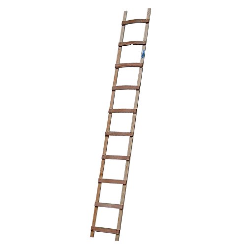 DachLeiter (Holz), 16 Sprossen - 2