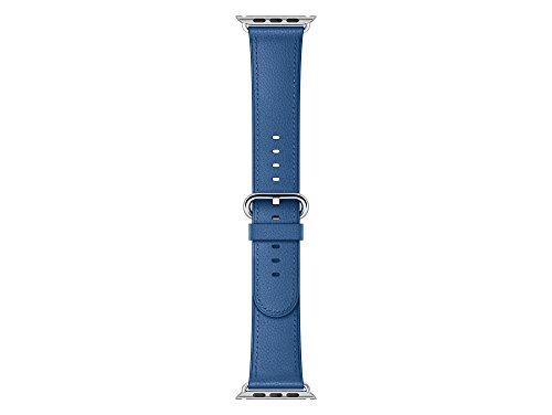 Preisvergleich Produktbild Apple Watch 38 mm klassisches Lederarmband, blau