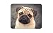 Produktbild Schöne Tan Mops-Hund Mousepad Pad - Welpen-Mamma-Schwester-Spaß-Geschenk-Computer # 8623