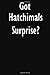 Produktbild Got Hatchimals Surprise: Hatchimals Surprise Diary Journal
