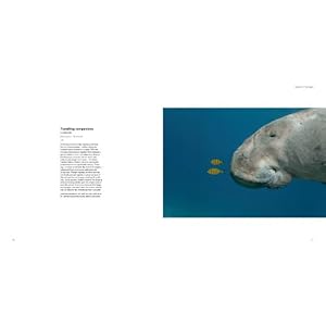 Wildlife Photographer of the Year: Portfolio 23