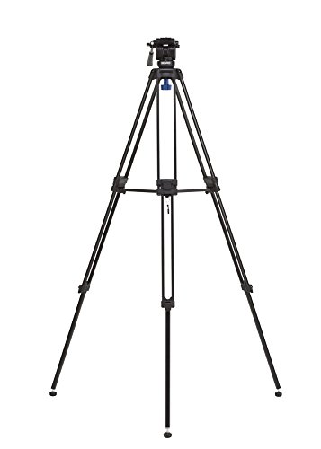 Benro KH25 - Trípode con rótula para videocámaras