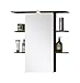 Produktbild FMD 901-008 Spiegelschrank Madrid 8 B/H/T ca. 65 x 72 x 29 cm zwetschge/weiß