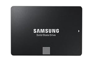 Samsung MZ-75E250RW 850 EVO interne SSD 250GB (6,4 cm (2,5 Zoll), SATA III) schwarz, Starter Kit