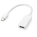 Produktbild owikar Mini DisplayPort zu HDMI Adapter – Thunderbolt Port Kompatibel, 1080p Audio Video HDTV Kabel Konverter oder Apple MacBook Pro, MacBook Air, ThinkPad, Mac Mini, iMac etc.