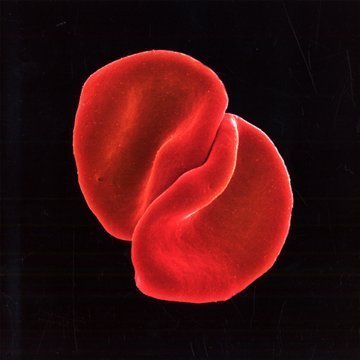 couverture de : Scratch my back