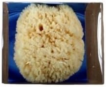 Riffi Premium natural sponge approx 14-15cm in gift box - R3354