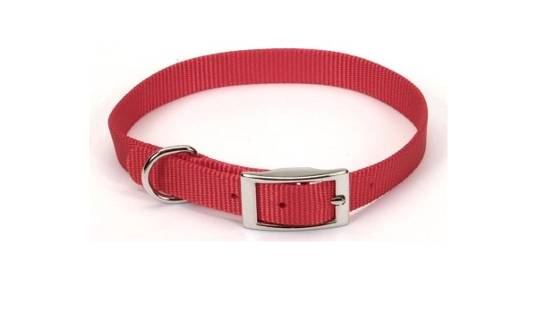 coastal dog collars