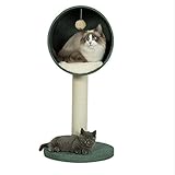 Größe: Breite 39cm, Höhe 78cm