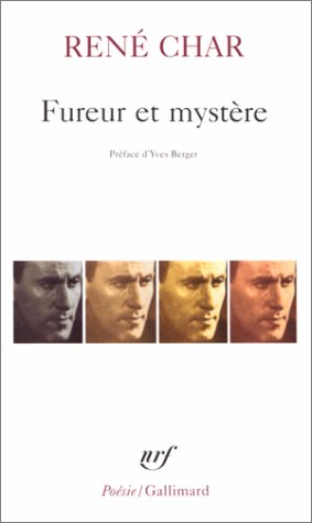 couverture de : Fureur et myst&egrave;re