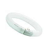 Color 6500 K luz del día Sylvania 0001965 - Tubo fluorescente circular 32W/865 Tr