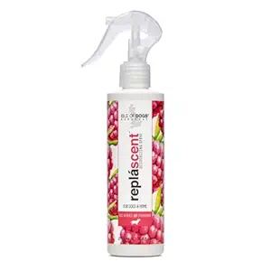 Isle of Dogs Odor Neutralizing Spray, 8 Fluid Ounce, Red Berries and Champagne