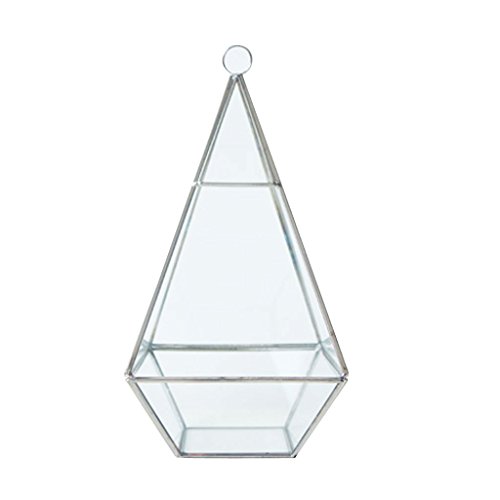 Generic Modern Design Glas Terrarium Geometrisches Sukkulente Pflanzen Deko – Rautenförmig – 12 * 12 * 24,5 cm - 3