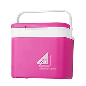 Haibing Portable 10L Car Refrigerator Ice Bucket Mini Fridge Cooler and Warmer Picnic Icebox for Skincare Snacks Cans Home and Travel