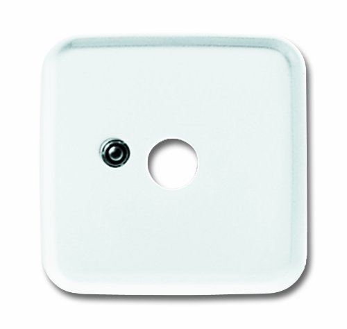 Preisvergleich Produktbild Busch-Jaeger 2548-214-52 P Zentralscheibe