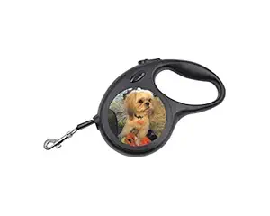 PARSPAR? Retractable Dog Leash, 5 Meters Dog Walking Leash for Medium Large Dogs Max Capacity - 10kgs Color Black (1 pc)