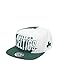 Produktbild Mitchell & Ness Herren Snapback Caps HWC Sharktooth Bosten Celtics grün Verstellbar