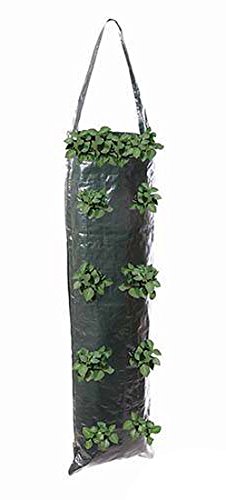 Silverline 264904 Pflanzbeutel zum Aufhängen, 2er-Pckg. 700 x 220 mm - 2