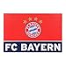 Produktbild FC BAYERN MÜNCHEN Schreibtischauflage NEU SAISON 2017/18,mit Button I MOG BAYERN,Schreibtischunterlage new Design,original Fanartikel