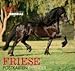 Friese 2012: Schöner Friesenkalender. Postkartenkalender by 