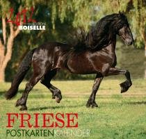 Friese 2012: Schöner Friesenkalender. Postkartenkalender