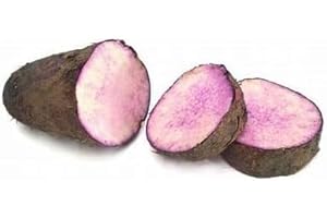 GENERIC Swathi Rasavalli Fresh Vegetable Sweet Purple Yams Indian Origin 2KG