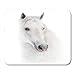 Produktbild Gaming Mauspads, Gaming Mouse Pad Animal Snowy White Andalusian Horse Over Beautiful Equestrian Equine Farm Farm 11.8"x 9.8" Decor Office Computer Accessories Nonslip Rubber Backing Mousepad Mouse Mat