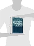 Image de Social and Economic Motivation at Work: Theories of Work Motivation Reassessed