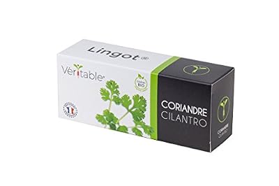 Veritable lingot pour potager véritable coriandre bio