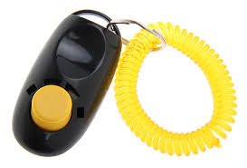 DOG-OBEDIENCE-TRAINING-KIT-WITH-TRAINING-LEAD-AND-CLICKER-LONG-15M50FT-LEAD-FOR-PET-PUPPY-RECALL-OBEDIENCE-TRAINING-WITH-CLICKER
