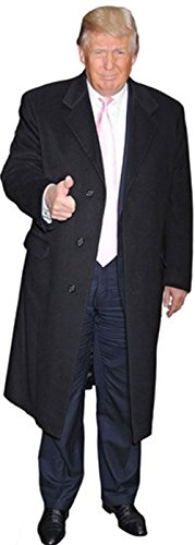 Preisvergleich Produktbild Donald Trump Mini Cutout