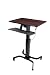 Produktbild ERGOTRON WorkFit-PD Steh-Sitz-Arbeitsplatz Arbeitsflaeche Nussbaum Anhebung bis 50cm max.Belastung 18kg.
