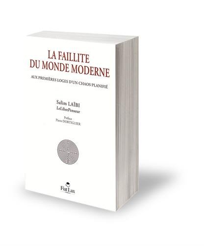 Télécharger La faillite du monde moderne : Aux premières loges d'un chaos planifié PDF Fichier