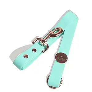 Heads Up for Tails Pastel Pawprint Rain Friendly Dog Leash - Green - S