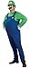 Price comparison product image Men's Adult Super Mario Plumber Workman Mushroom Men Costume Game Fancy Outfit #Medium#GreenWorkman