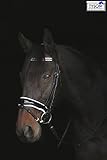 trense wb braun Weiches Rindsleder ! Trense Reithalfter Black n White Strass Schwarz weiß unterlegt Ohrenaussp. Tysons VB WB X-Full (WB)