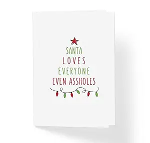 Funny Adult Christmas Holiday Card - Santa Loves Everyone Even Aholes - Naughty Rude Sarcastic Humorous Xmas Stationery Greeting Card - Blank Inside with Kraft Envelope 5