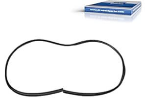 ‎DT SPARE PARTS DT Spare Parts Dichtrahmen Tür 4.80154 Fensterdichtung für LKW, Bus