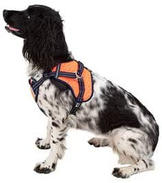 3 peaks expedition dog harness