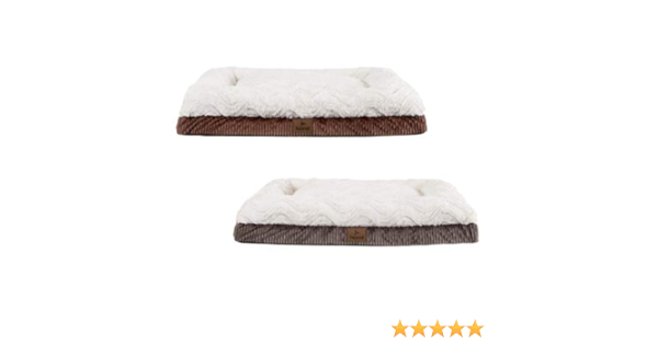 b&m pet beds