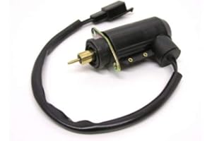 STREETPARTS 24 E Choke Kaltstarter Kaltstartautomatik Stecker 8mm Bolzen passend für CPI Generic Keeway TGB Bullet Pegasus R50X Piaggio Hexagon SKR Sachs Speedforce Speedjet 2-Takt China Roller mit Mikuni Vergaser